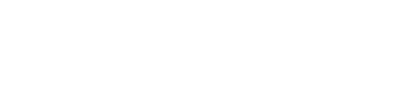 FEV etamax